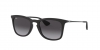 RB4221 Sunglasses
