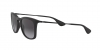 RB4221 Sunglasses