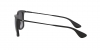 RB4221 Sunglasses