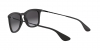 RB4221 Sunglasses