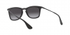 RB4221 Sunglasses