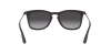 RB4221 Sunglasses