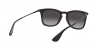 RB4221 Sunglasses