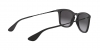 RB4221 Sunglasses
