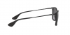 RB4221 Sunglasses