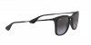 RB4221 Sunglasses
