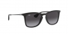 RB4221 Sunglasses
