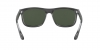 RB4226 Sunglasses