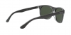 RB4226 Sunglasses