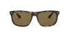 RB4226 Sunglasses
