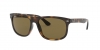 RB4226 Sunglasses