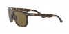 RB4226 Sunglasses