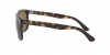 RB4226 Sunglasses