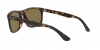 RB4226 Sunglasses