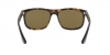 RB4226 Sunglasses