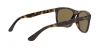 RB4226 Sunglasses