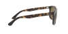 RB4226 Sunglasses