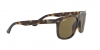 RB4226 Sunglasses