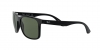 RB4232 Sunglasses