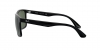 RB4232 Sunglasses