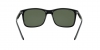 RB4232 Sunglasses
