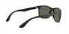 RB4232 Sunglasses