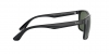 RB4232 Sunglasses