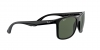RB4232 Sunglasses