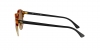 RB4246 Clubround Sunglasses