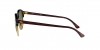 RB4246 Clubround Sunglasses