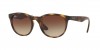 RB4252I Sunglasses