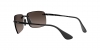 RB4255 Sunglasses