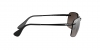 RB4255 Sunglasses