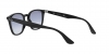 RB4258F Sunglasses