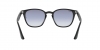 RB4258F Sunglasses