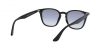 RB4258F Sunglasses