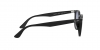 RB4258F Sunglasses