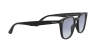RB4258F Sunglasses