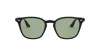RB4258F Sunglasses