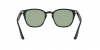 RB4258F Sunglasses