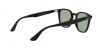 RB4258F Sunglasses