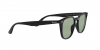 RB4258F Sunglasses