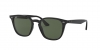 RB4258F Sunglasses