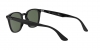 RB4258F Sunglasses