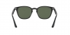 RB4258F Sunglasses