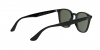 RB4258F Sunglasses