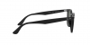 RB4258F Sunglasses