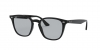 RB4258F Sunglasses