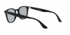 RB4258F Sunglasses