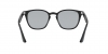 RB4258F Sunglasses